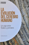 La evolución del cerebro humano